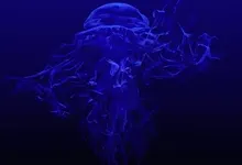 ocean jellyfish 1920x1080 wallpaper Art HD Wallpaper